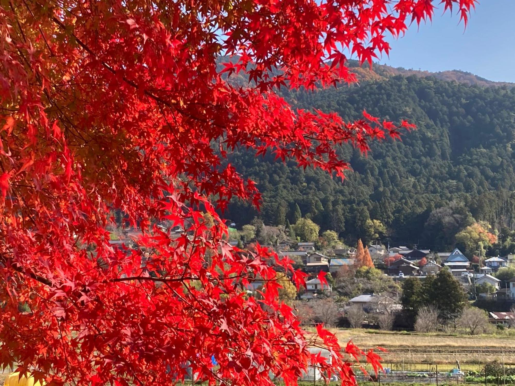 Ryoso Chatani Hotel Kyoto Luaran gambar