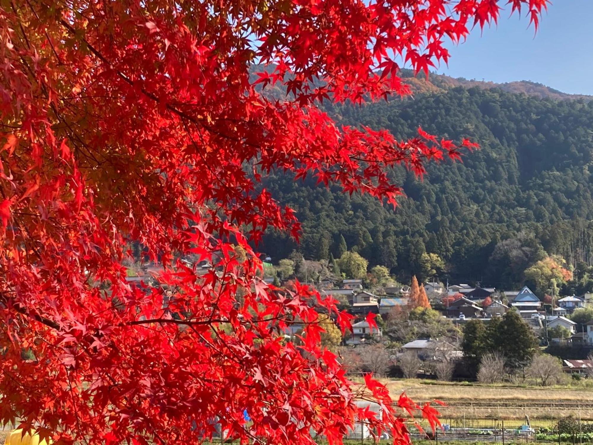 Ryoso Chatani Kyoto Luaran gambar
