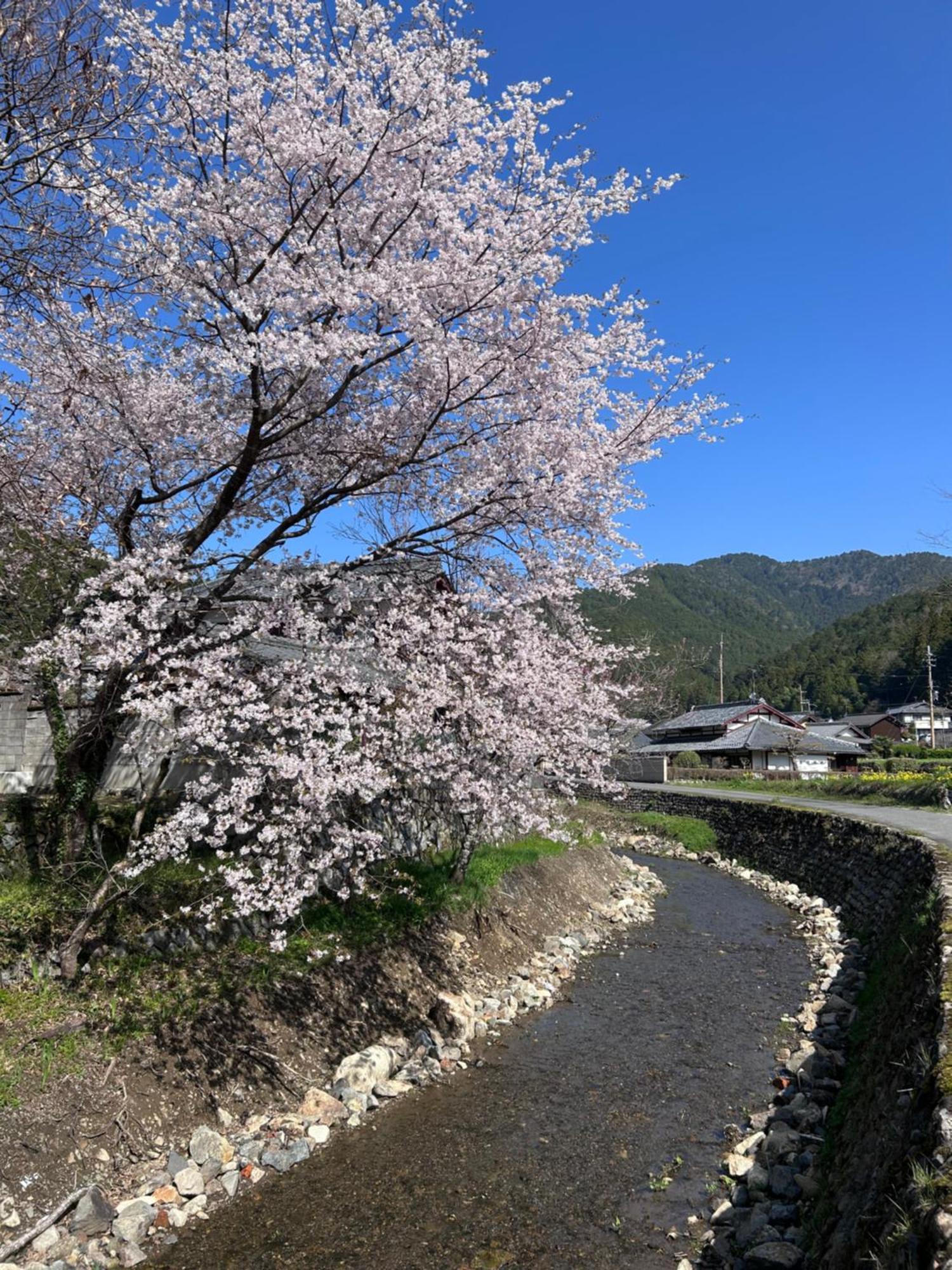 Ryoso Chatani Kyoto Luaran gambar